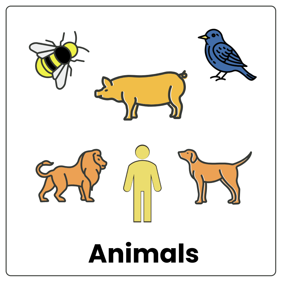 Visual Cue: Animals - Drawing of a bee, pig, bird, lion, human, and a dog and the word animals