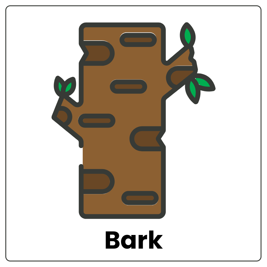 Visual Cue: Bark (Plants) - Outside of a tree's surface and the word bark