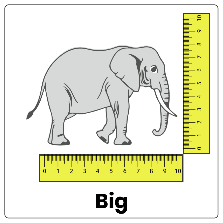 Visual Cue: Big - elephant filling the space between a horizontal and vertical ruler joined at the ends and the word big