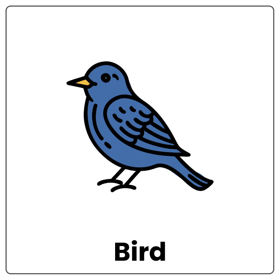 Bird - Animal with a beak and covered in feathers and the word bird
