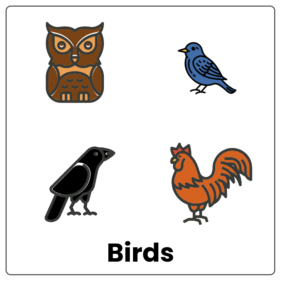 Visual Cue: Birds - Drawings of an owl, a black bird, a crow, and a rooster and the word birds