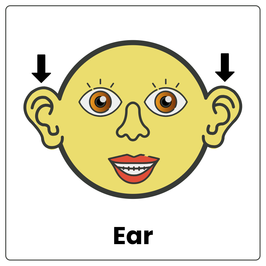 Visual Cue: Ear - Drawing of a face with arrows pointing to the ears and the word ears