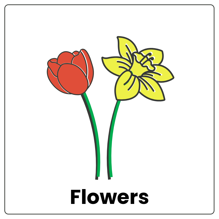 Visual Cue: Flowers - Flowers