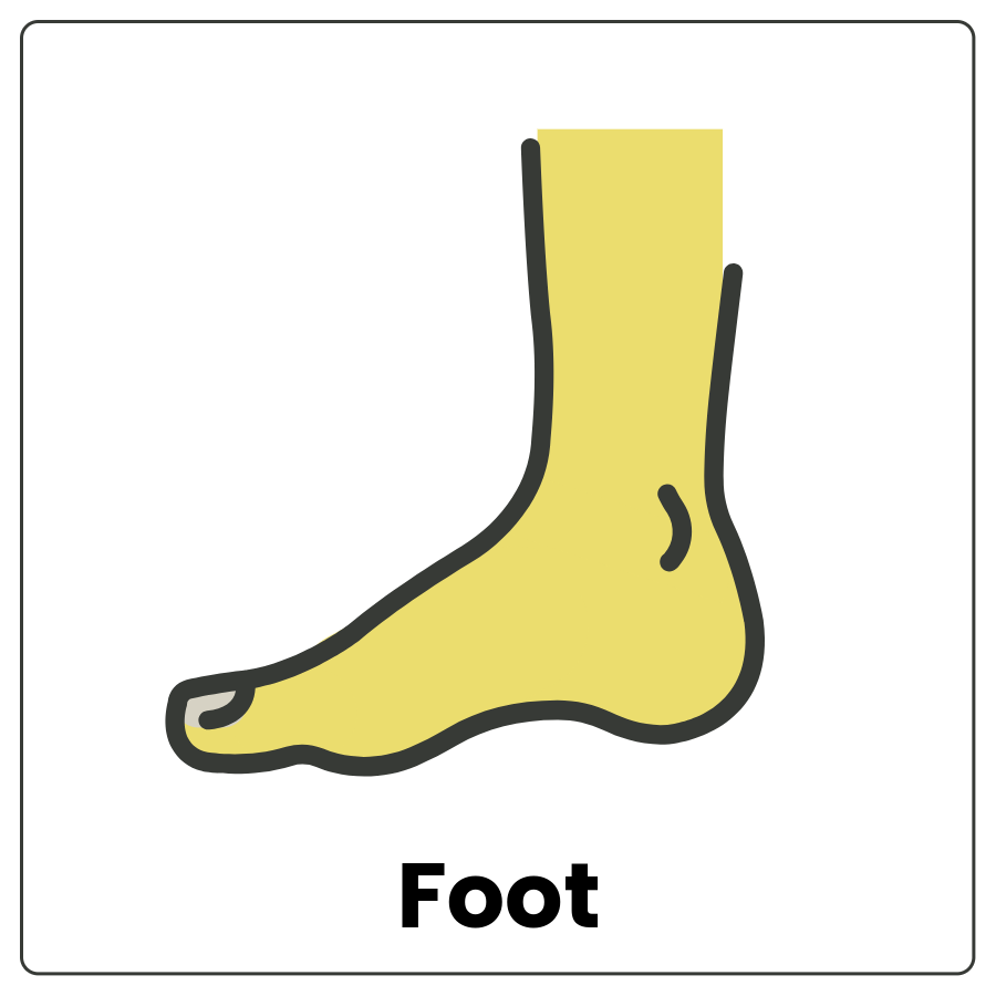 Visual Cue: Foot - Foot
