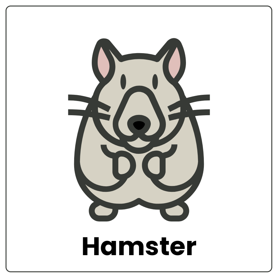 Hamster - Small furry animal with pointy ears and the word hamster