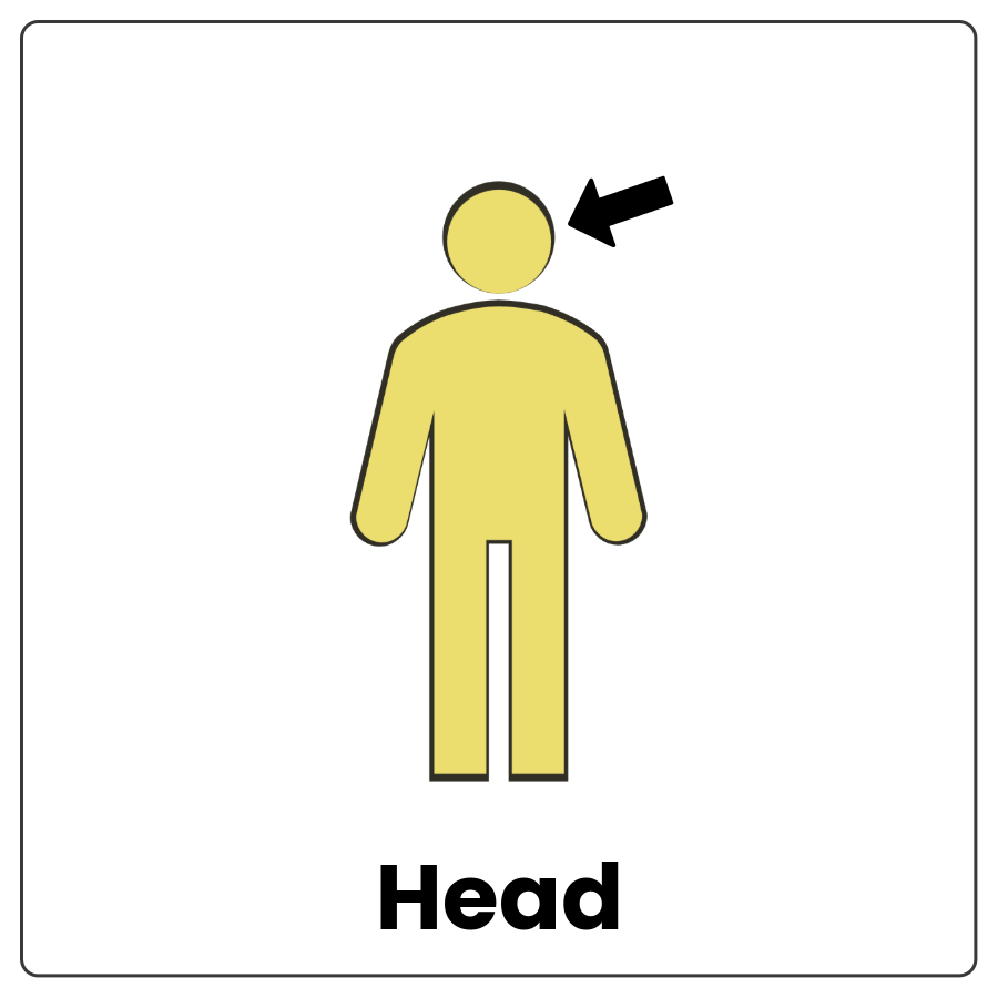 Visual Cue: Head - Drawing of a person with an arrow pointing to the head and the word head