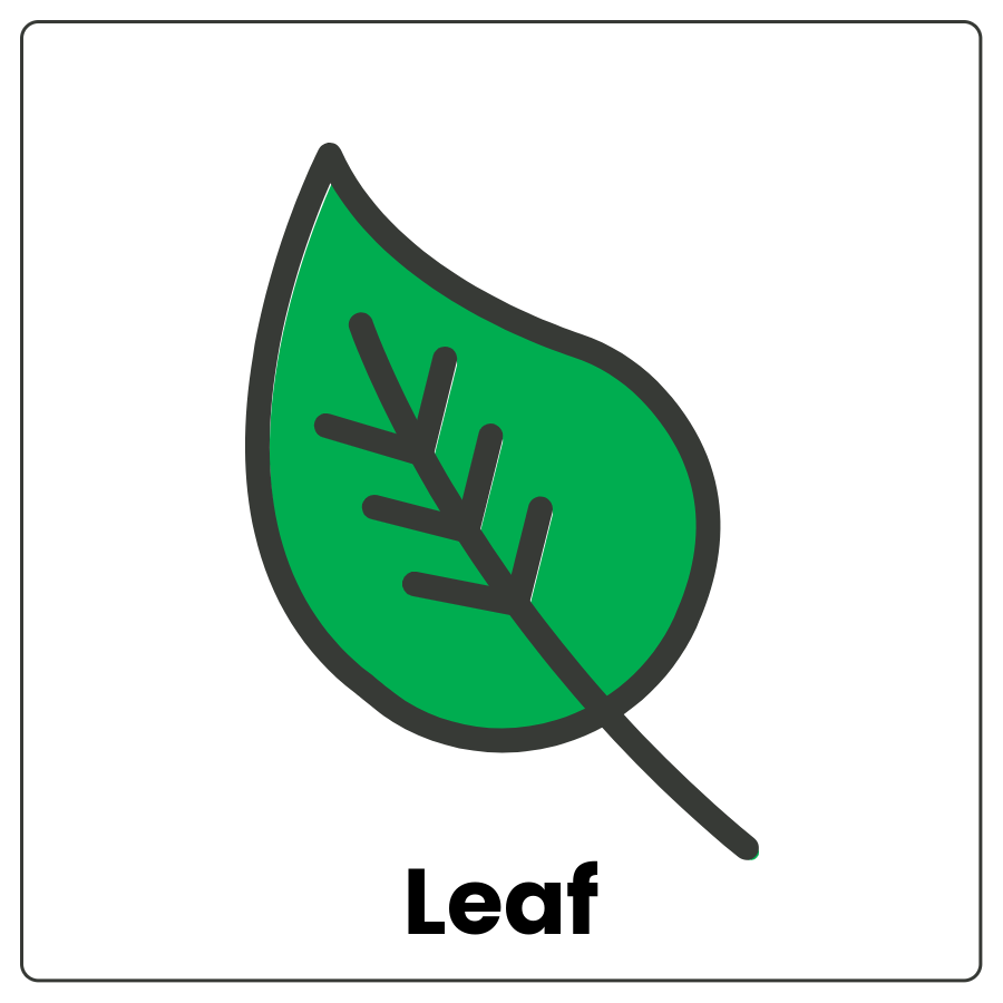 Visual Cue: Leaf - Leaf