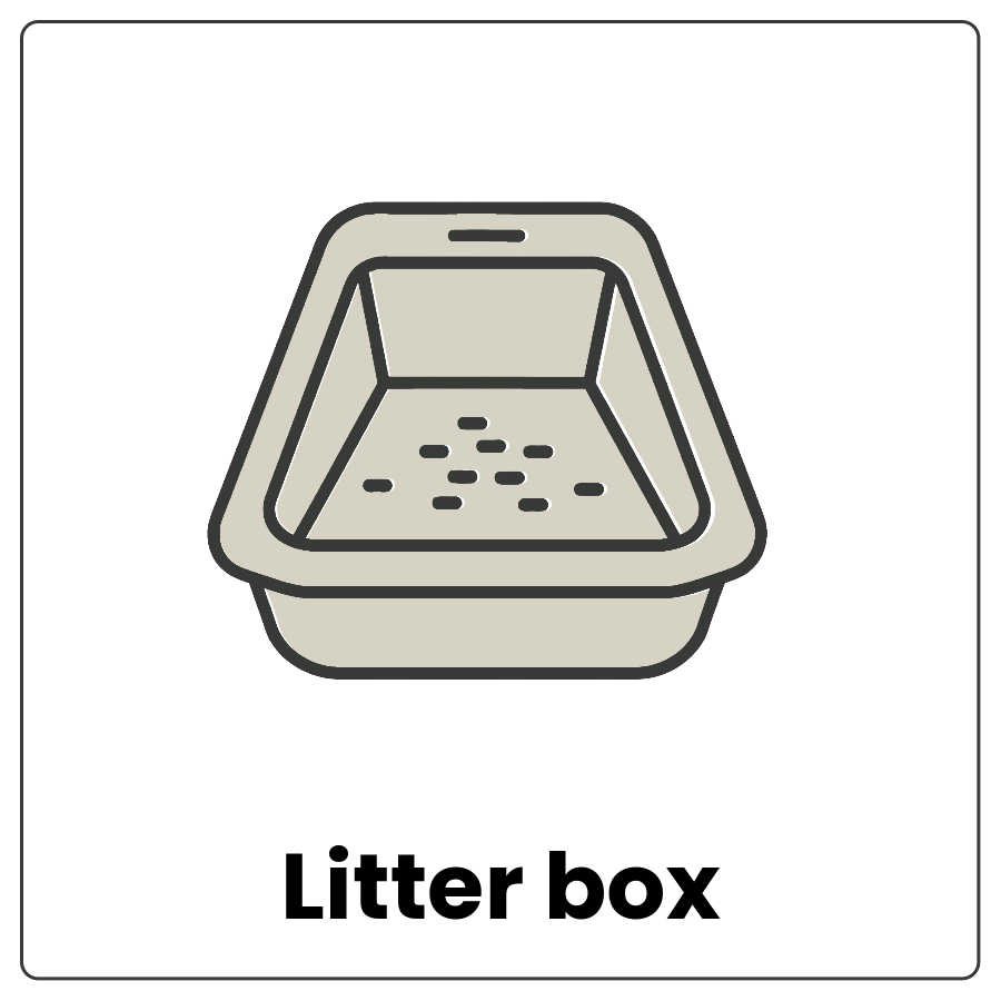 Litter box - Container filled with absorbent materials and the words litter box