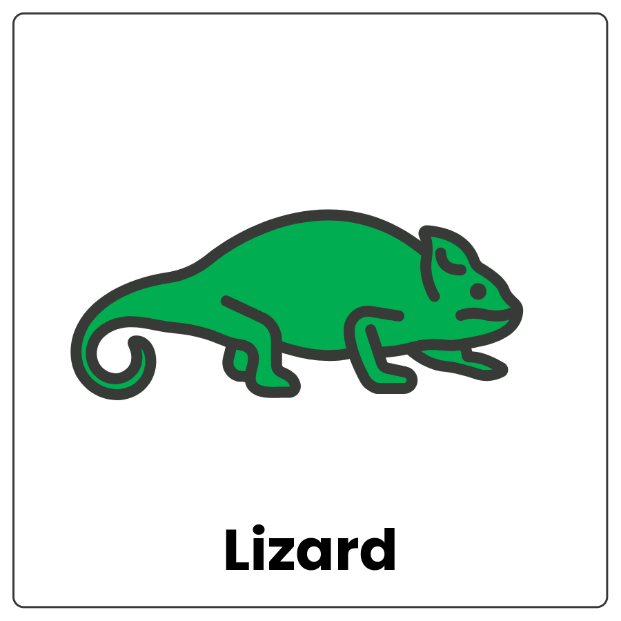 Lizard - 4-legged creature covered in scales and the word lizard
