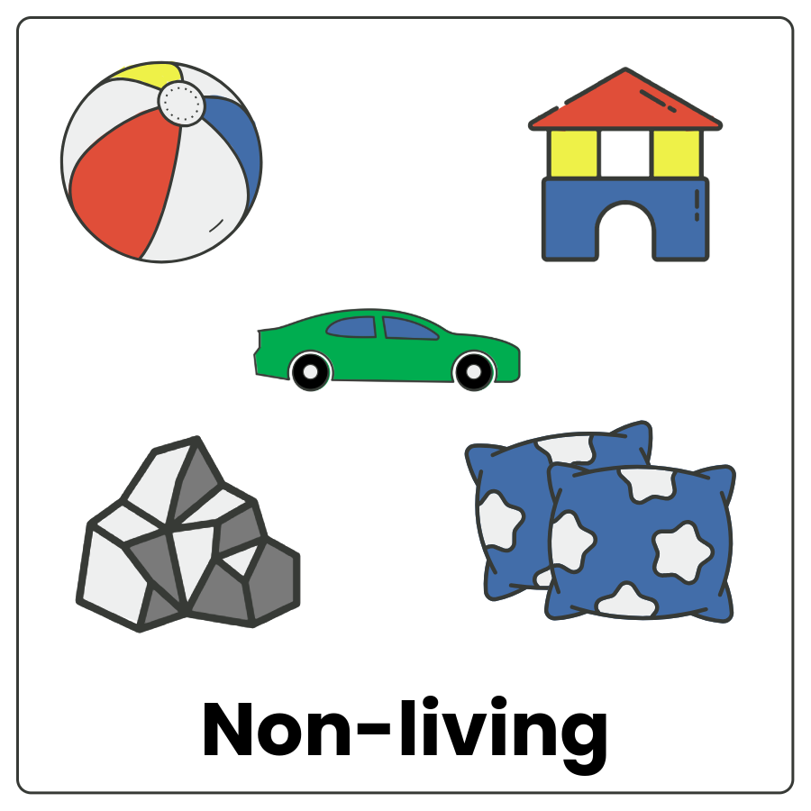 Visual Cue: Non-living - Ball, car, house, rock, pillows and the word non-living