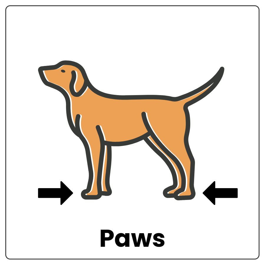 Visual Cue: Paw - Drawing of a dog with arrows pointing to its feet and the word paws