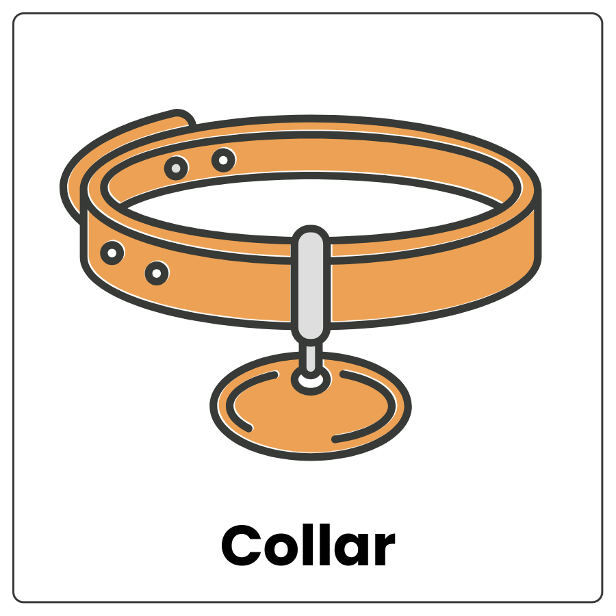 Collar - Small belt with a buckle and a name tag and the word collar