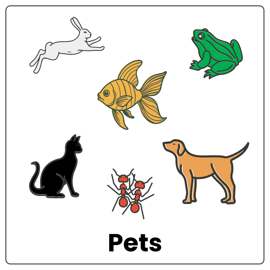 Visual Cue: Pets - Rabbit, frog, fish, cat, ants, and dog and the word pets