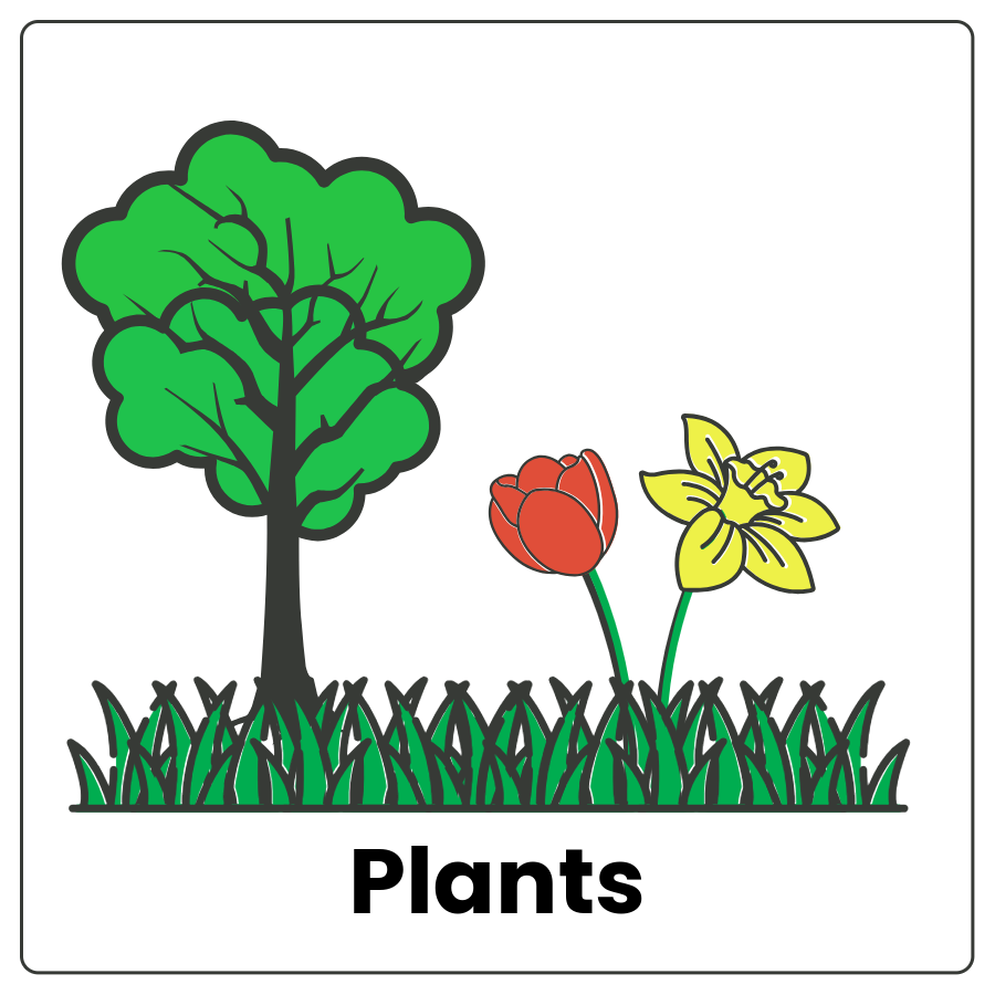 Visual Cue: Plants - Trees, flowers, and grass and the word plants