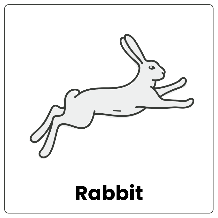 Rabbit - 4-legged animal with long skinny ears on the top of its head and the word rabbit