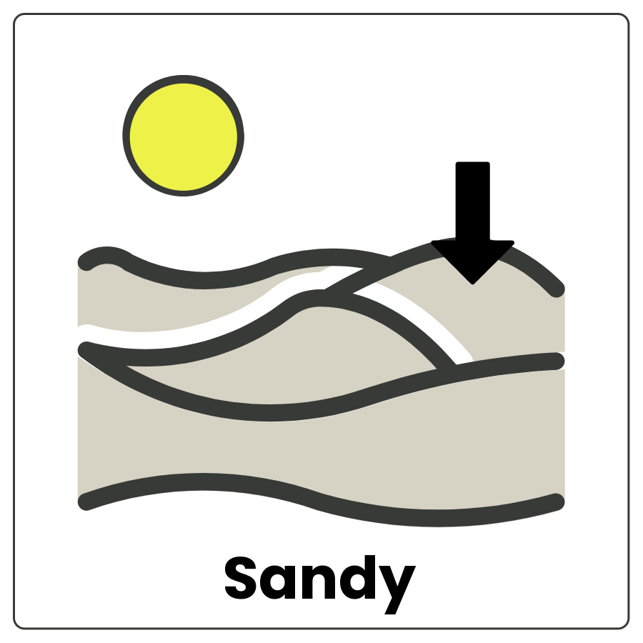 Visual Cue: Sandy - beach with arrow pointing to the sand and the word sandy