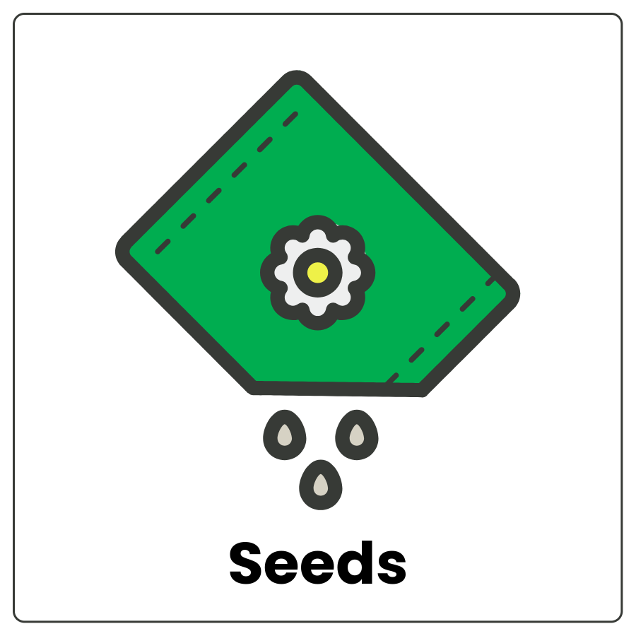 Visual Cue: Seeds - Drawing of a paper envelope with seeds and the word seeds