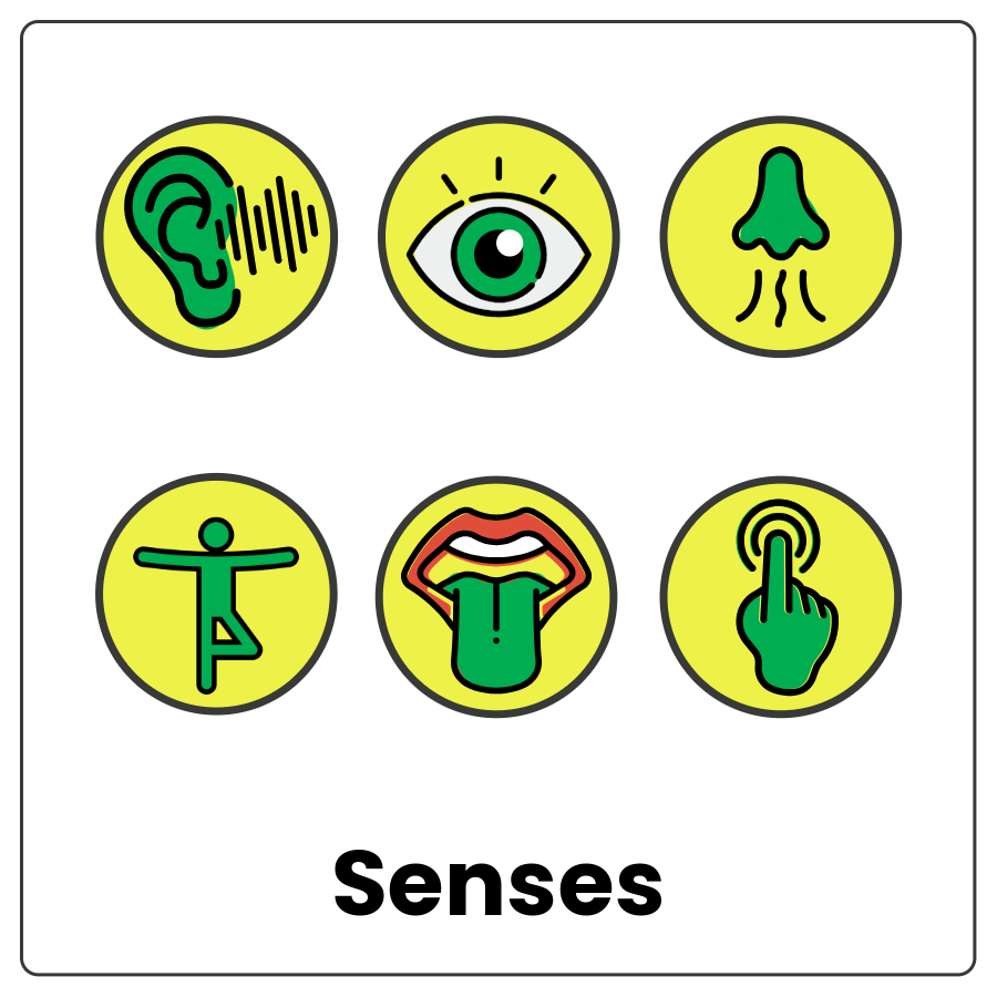Symbols for hearing, sight, smelling, movement, tasting, and touching and the word senses