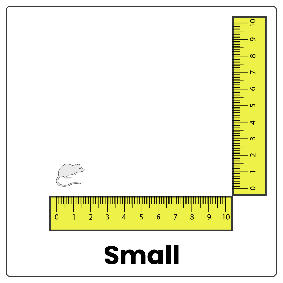 Visual Cue: Small - tiny mouse that barely fills any space alongside a ruler and the word small