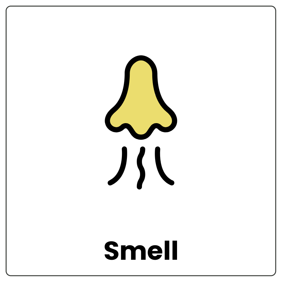 Visual Cue: Smell - Nose inside a circle and the word smell