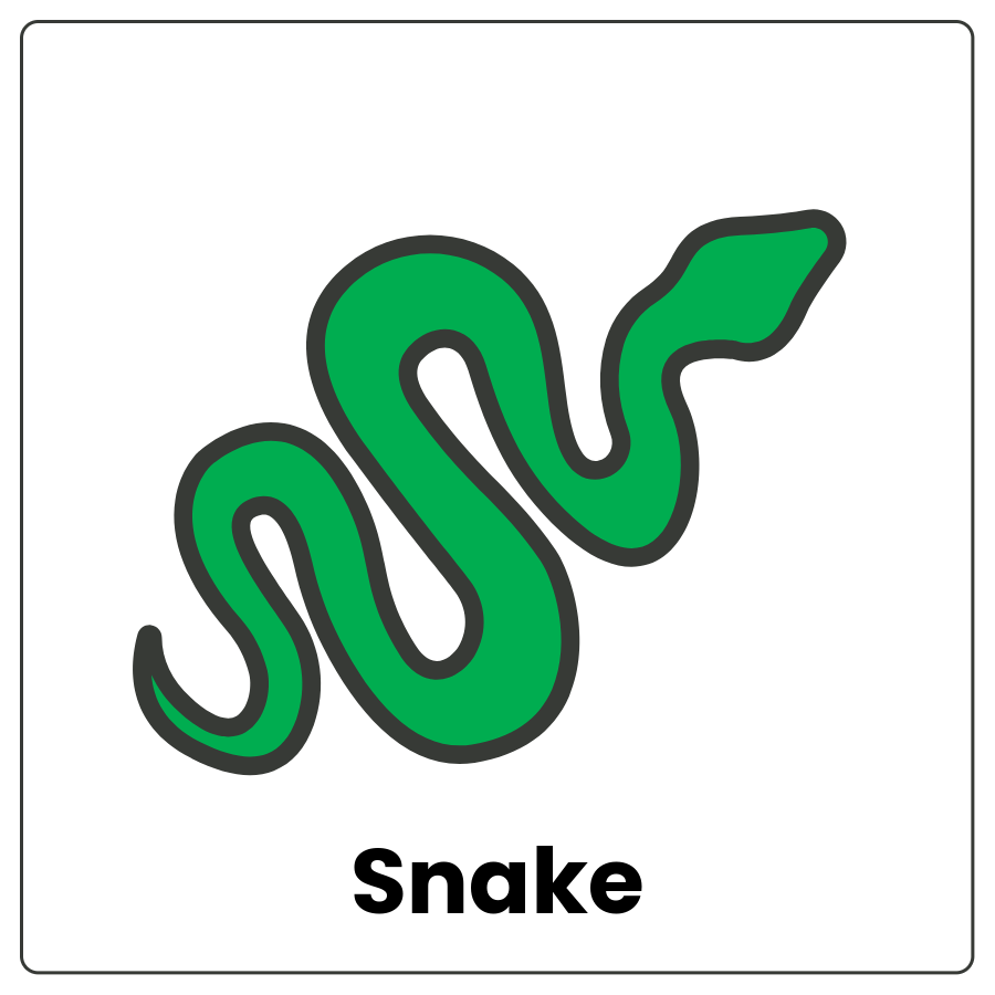 Snake - Long, skinny animal without legs and the word snake