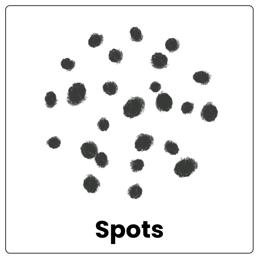 Visual Cue: Spots - series of splotches in a circular arrangement and the word spots