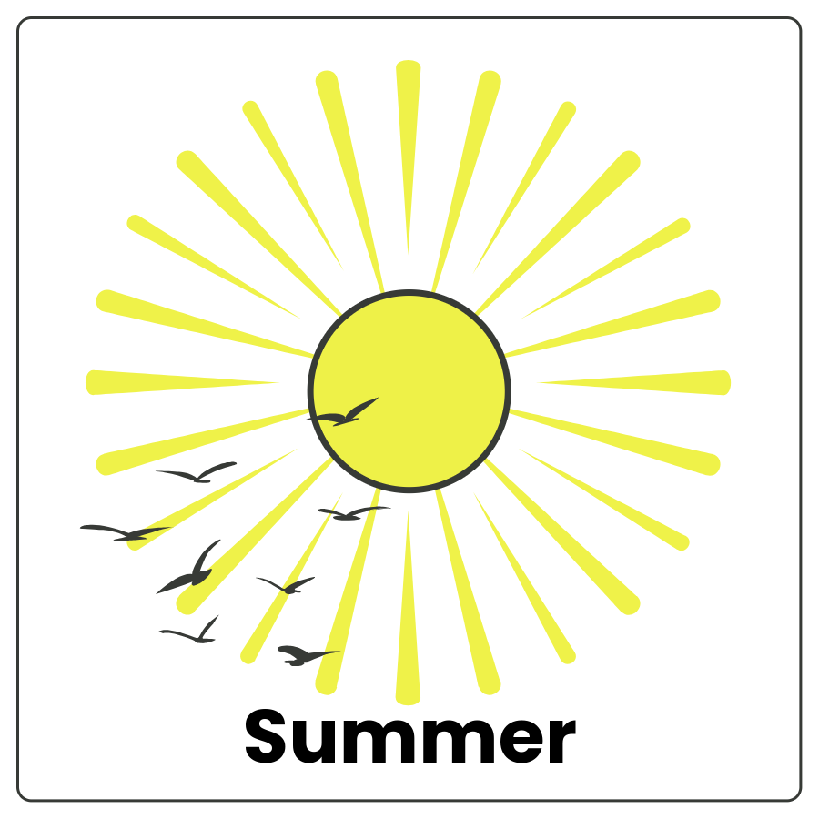 Visual Cue: Summer - Summer