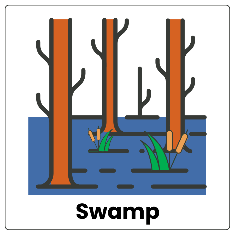 Visual Cue: Swamp - Patch of land that has standing muddy water and trees and the word swamp