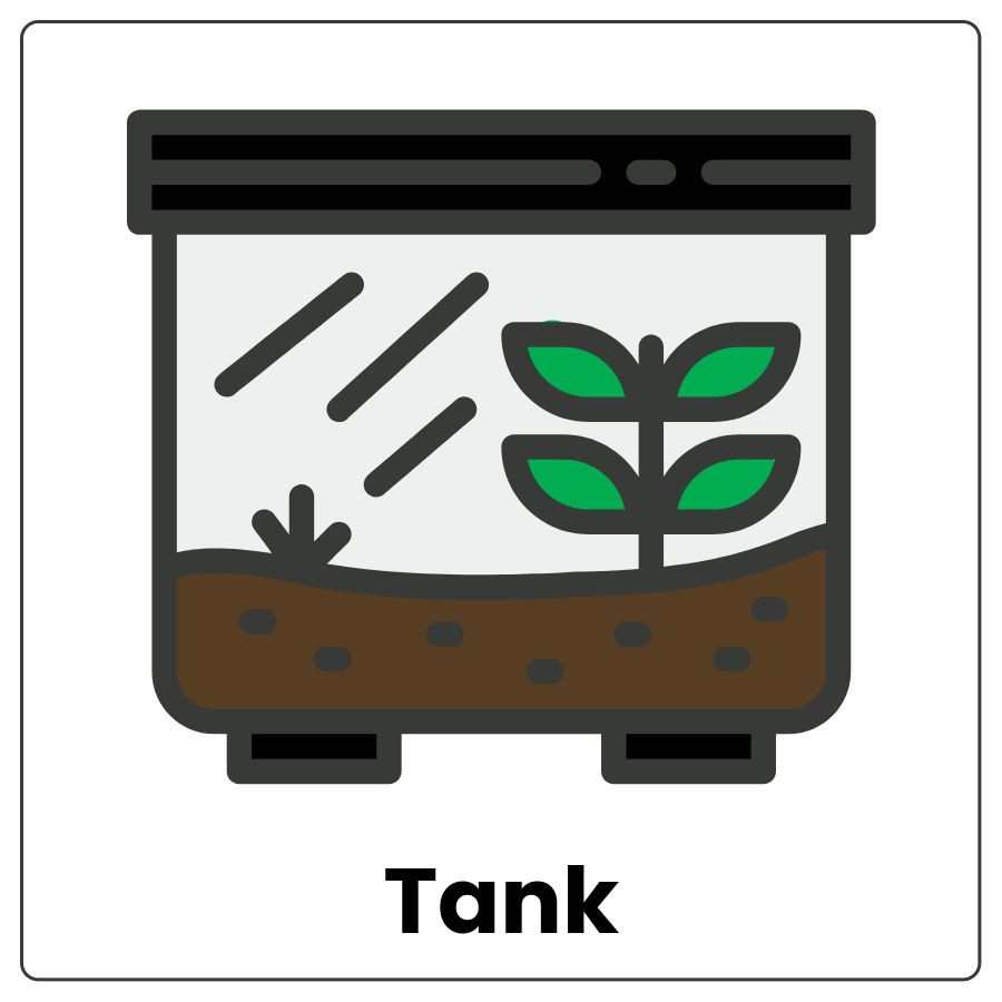 Tank - Covered, glass-walled container with plants and soil inside and the word tank