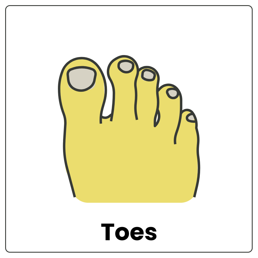 Visual Cue: Toes - Drawing of a foot and the word toes